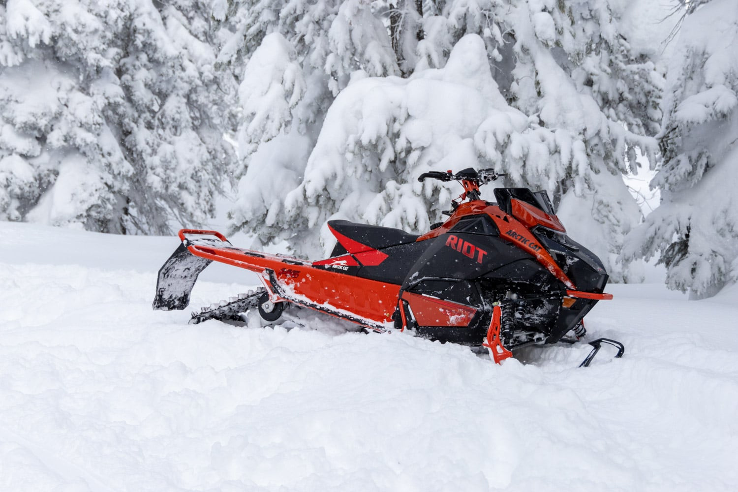 [general.product.image.short] 1 - Arctic Cat Riot 600 MY24 2024